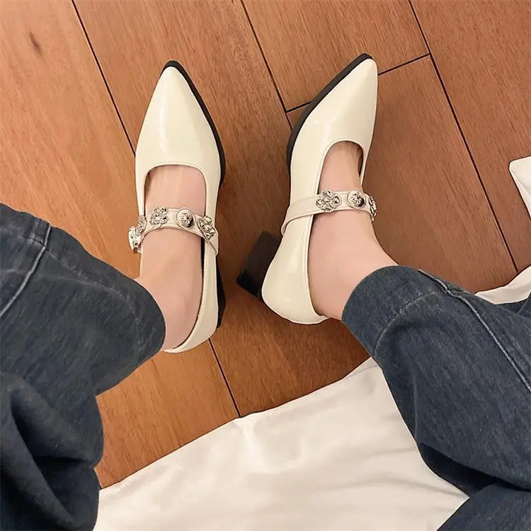French-Style Pointed Mary Jane Women's Shoes 2025 New Model with Skirt, Shallow Mouth, Single Strap, Metal Buckle, Commuter Elegant Shoes — feature 10