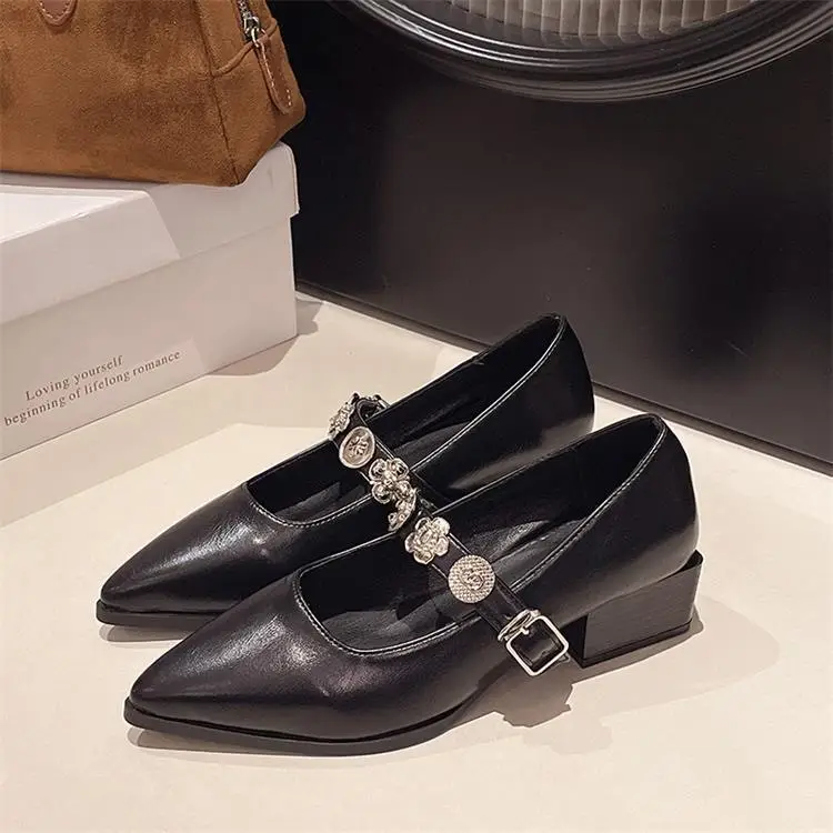 French-Style Pointed Mary Jane Women's Shoes 2025 New Model with Skirt, Shallow Mouth, Single Strap, Metal Buckle, Commuter Elegant Shoes — feature 11