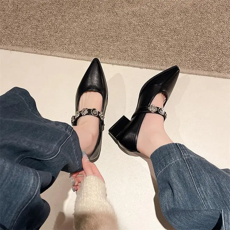 French-Style Pointed Mary Jane Women's Shoes 2025 New Model with Skirt, Shallow Mouth, Single Strap, Metal Buckle, Commuter Elegant Shoes — feature 4