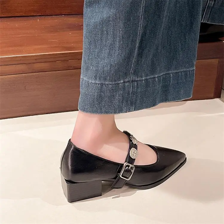 French-Style Pointed Mary Jane Women's Shoes 2025 New Model with Skirt, Shallow Mouth, Single Strap, Metal Buckle, Commuter Elegant Shoes — feature 7
