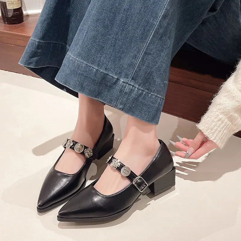 French-Style Pointed Mary Jane Women's Shoes 2025 New Model with Skirt, Shallow Mouth, Single Strap, Metal Buckle, Commuter Elegant Shoes - Image 2