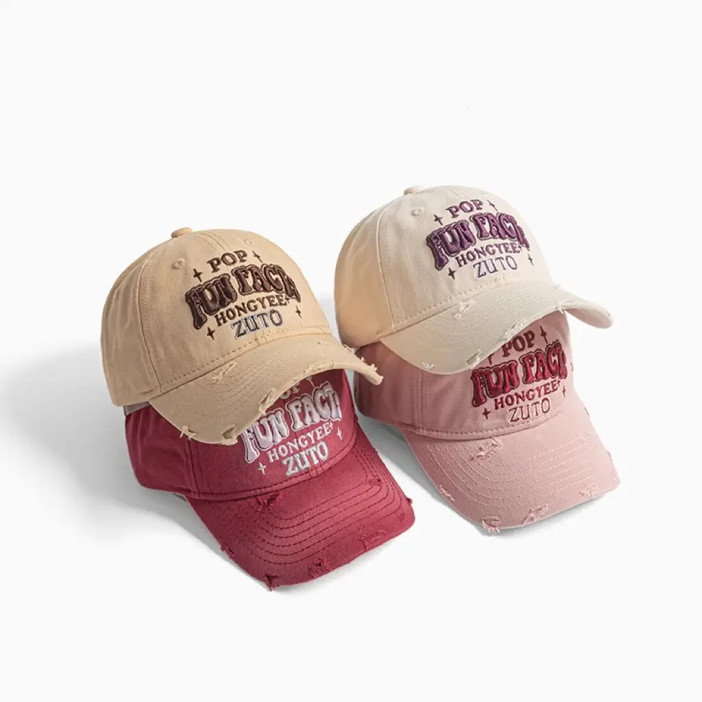 Korean Style Embroidered Baseball Cap Women Sunshade — feature 4