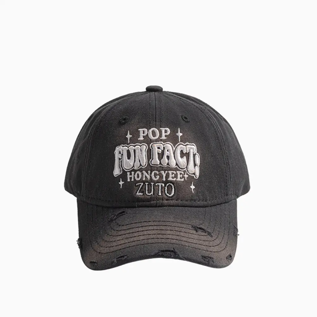 Korean Style Embroidered Baseball Cap Women Sunshade - Image 2