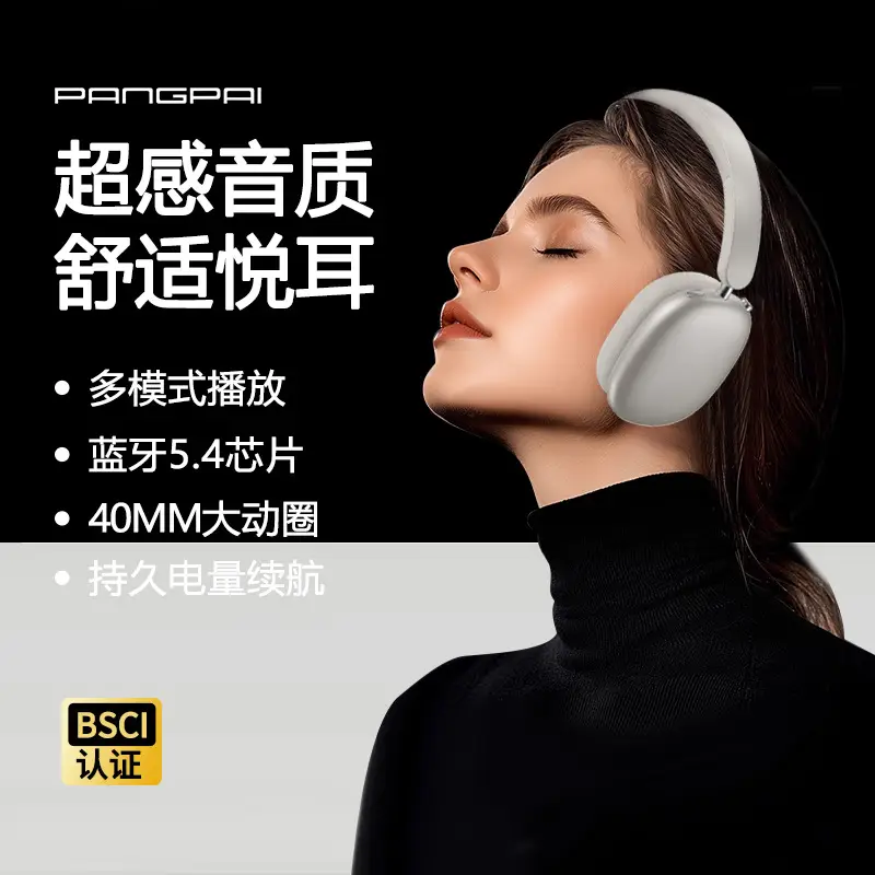 True ANC Wireless Bluetooth Headset Silver Ultra Long Battery