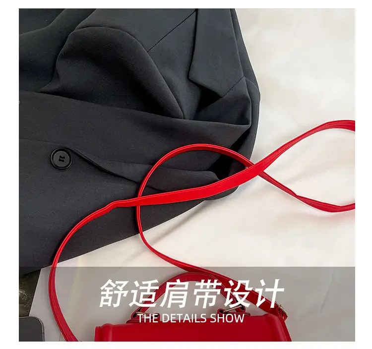 Minimalist Small Square Bag for Women 2025 Summer — feature 8