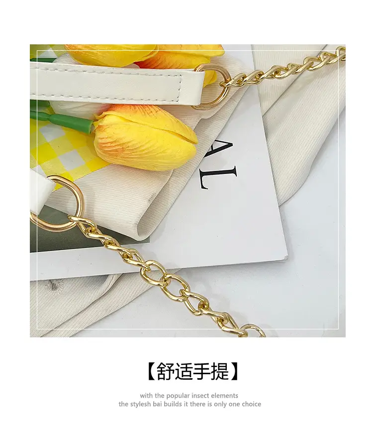 New Style Small Crossbody Bag for Women with Chain — feature 9