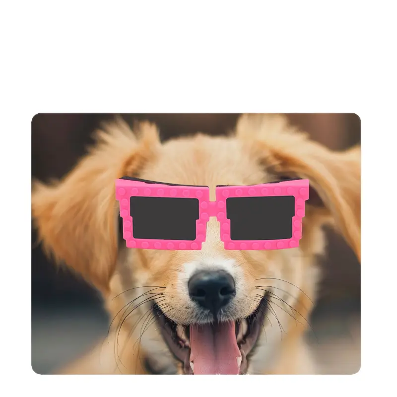 Anti-UV Windproof Dog Goggles with Building Blocks - Image 10