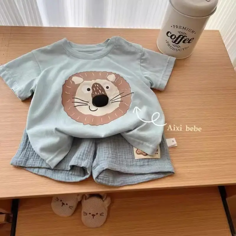 Boys Summer Lion Print T-Shirt Set Small Medium