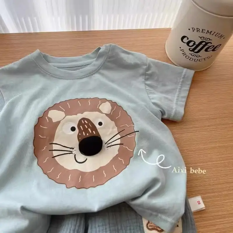 Boys Summer Lion Print T-Shirt Set Small Medium