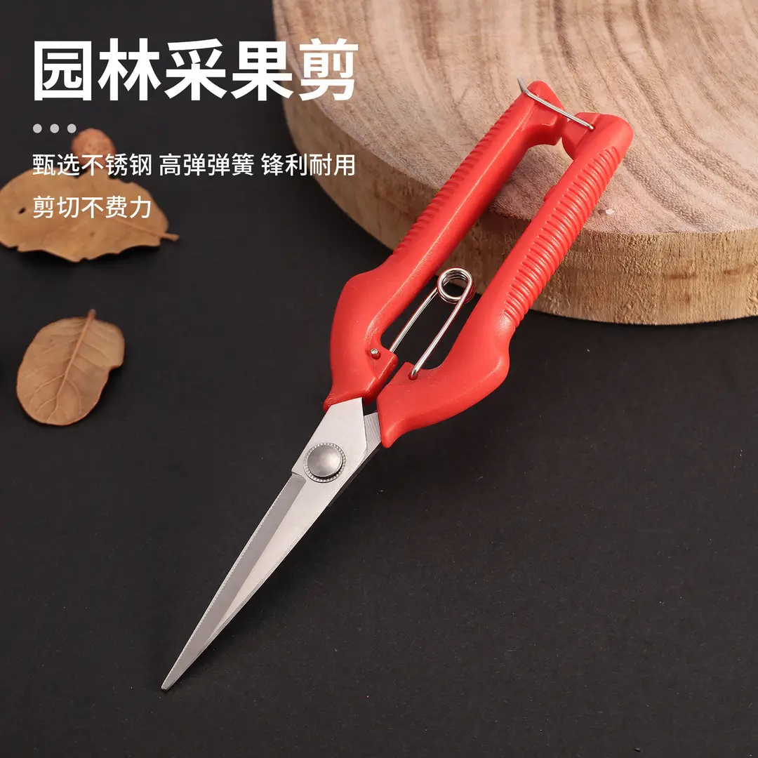 Garden Pruning Shears, Fruit Picking Shears, Grape Shears, Garden Tools, Extended Floral Scissors, Fruit Tree Pruning Shears