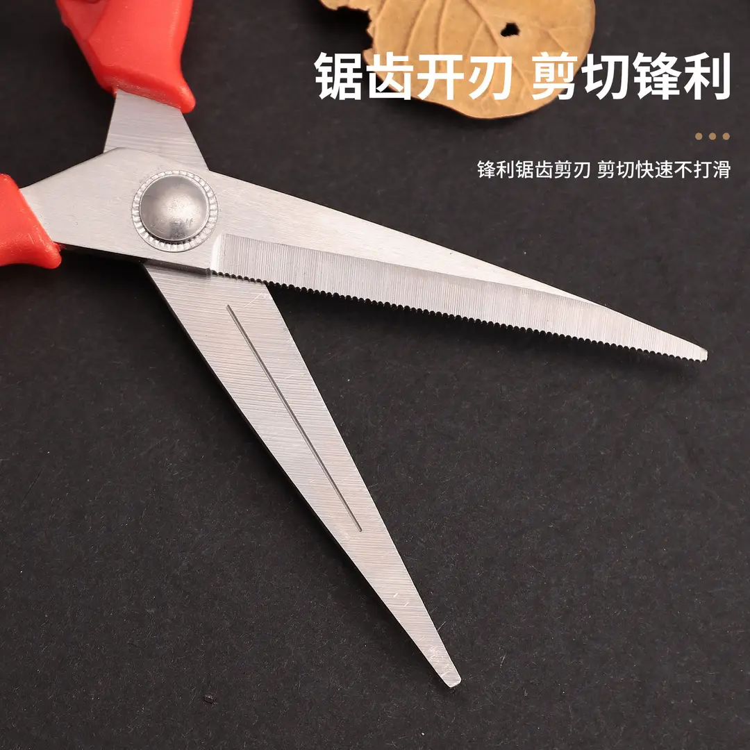 Garden Pruning Shears, Fruit Picking Shears, Grape Shears, Garden Tools, Extended Floral Scissors, Fruit Tree Pruning Shears