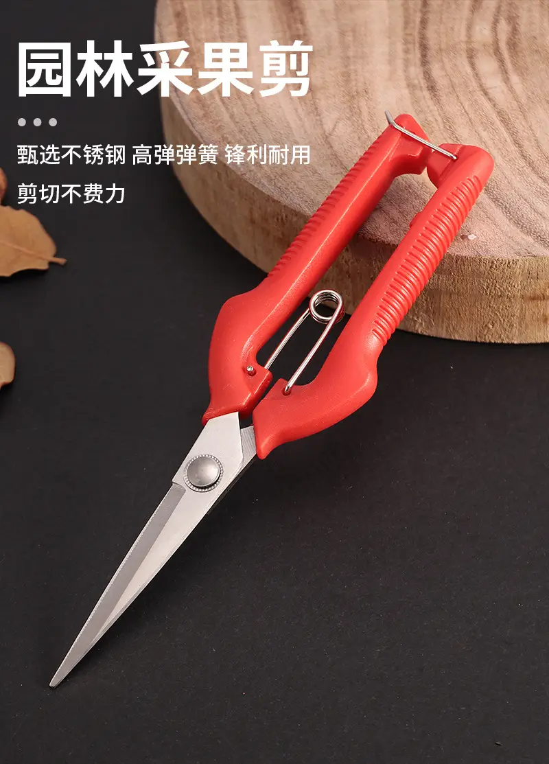 Garden Pruning Shears, Fruit Picking Shears, Grape Shears, Garden Tools, Extended Floral Scissors, Fruit Tree Pruning Shears — feature 1