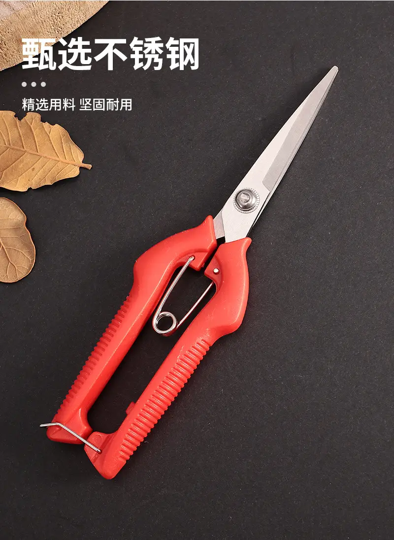 Garden Pruning Shears, Fruit Picking Shears, Grape Shears, Garden Tools, Extended Floral Scissors, Fruit Tree Pruning Shears — feature 3