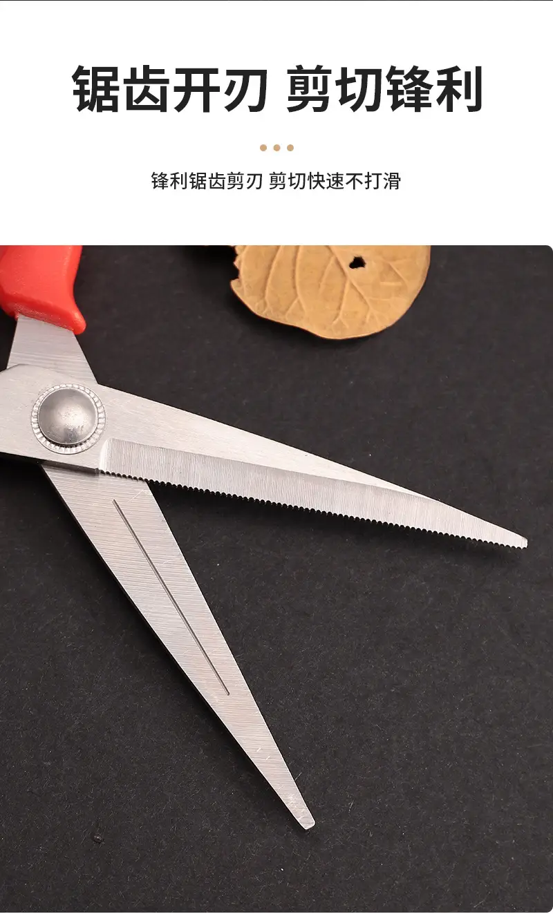 Garden Pruning Shears, Fruit Picking Shears, Grape Shears, Garden Tools, Extended Floral Scissors, Fruit Tree Pruning Shears — feature 4