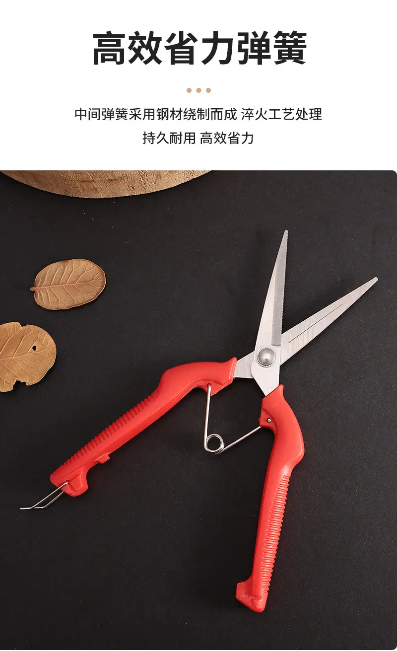 Garden Pruning Shears, Fruit Picking Shears, Grape Shears, Garden Tools, Extended Floral Scissors, Fruit Tree Pruning Shears — feature 5