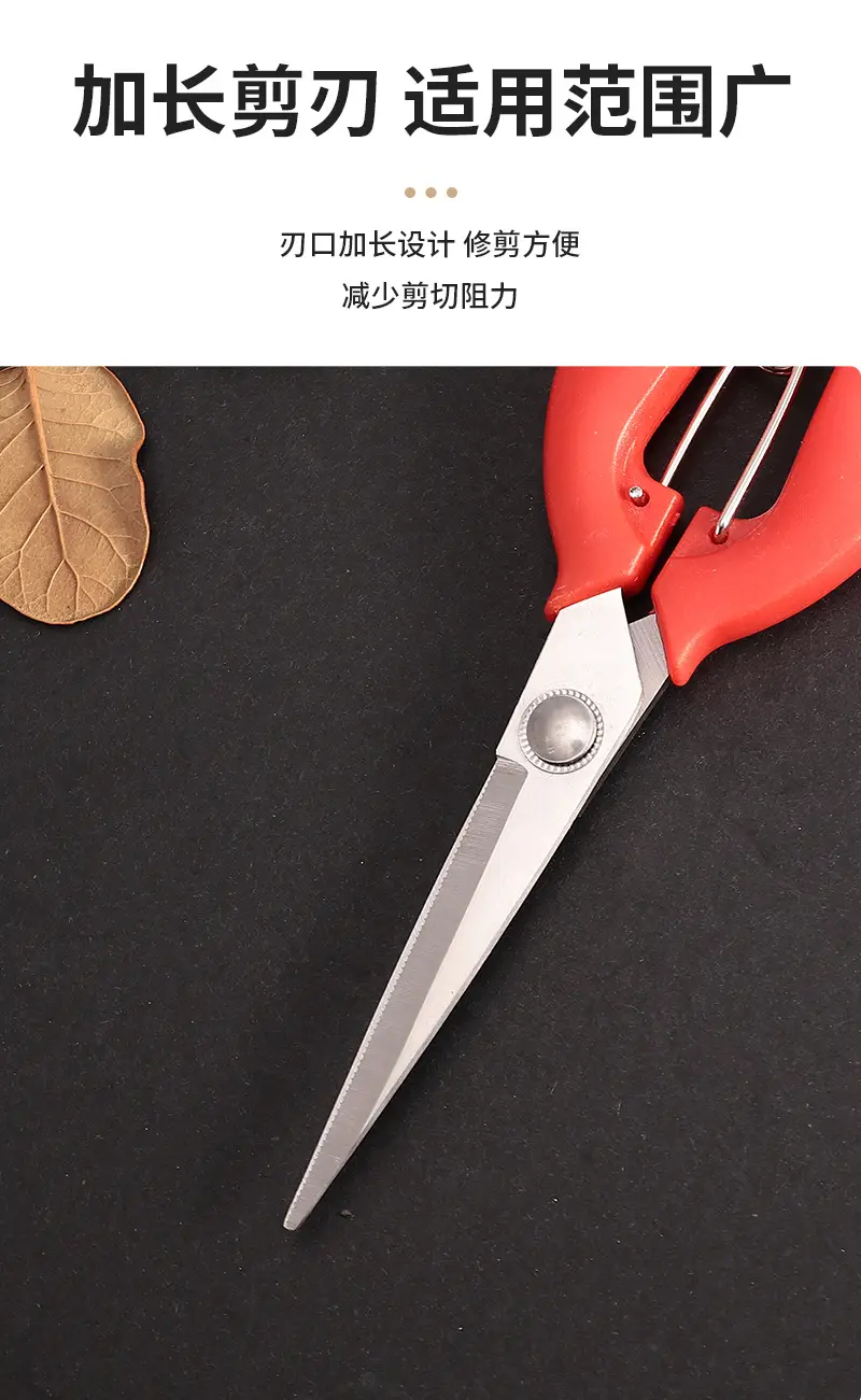 Garden Pruning Shears, Fruit Picking Shears, Grape Shears, Garden Tools, Extended Floral Scissors, Fruit Tree Pruning Shears — feature 6