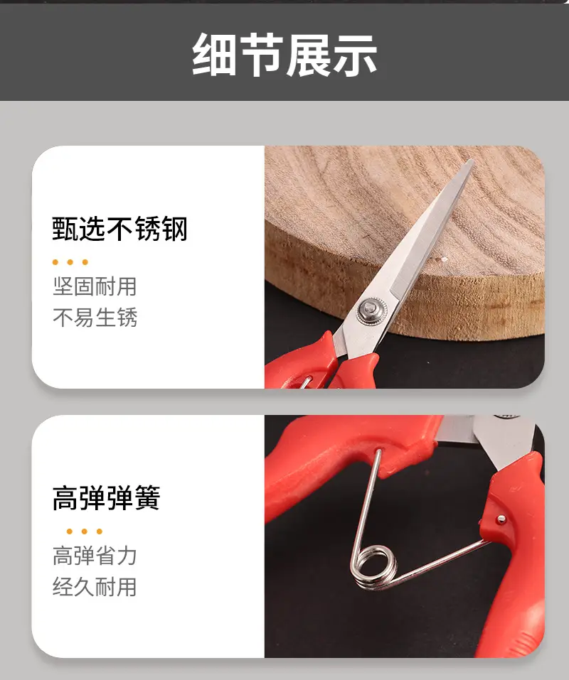 Garden Pruning Shears, Fruit Picking Shears, Grape Shears, Garden Tools, Extended Floral Scissors, Fruit Tree Pruning Shears — feature 7