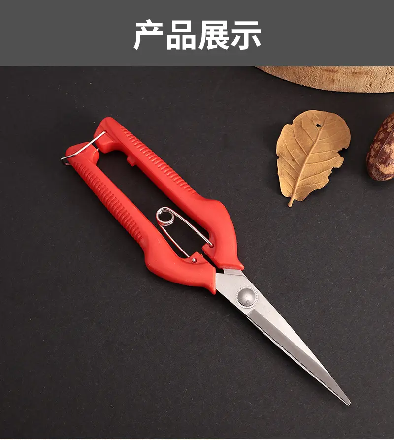 Garden Pruning Shears, Fruit Picking Shears, Grape Shears, Garden Tools, Extended Floral Scissors, Fruit Tree Pruning Shears — feature 9
