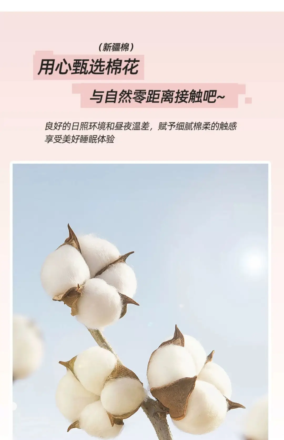 2026 New Model Pure Cotton Fitted Sheet Single Piece Summer Mattress Protector Cover Non-Slip Dustproof Cover Bed Cover Sheet — feature 8