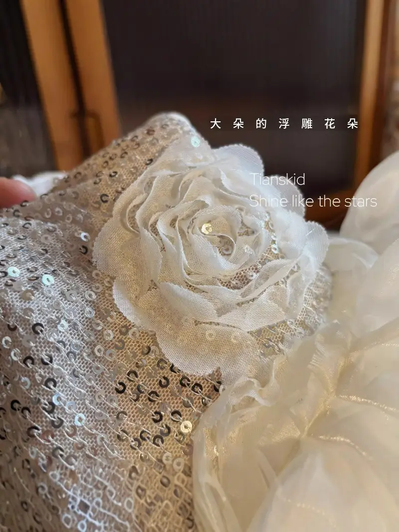Girls' Princess Dress 2026 New Summer Style for Toddlers and Young Children, Elaborate Dress for Baby Girls' Birthday and First Birthday Party