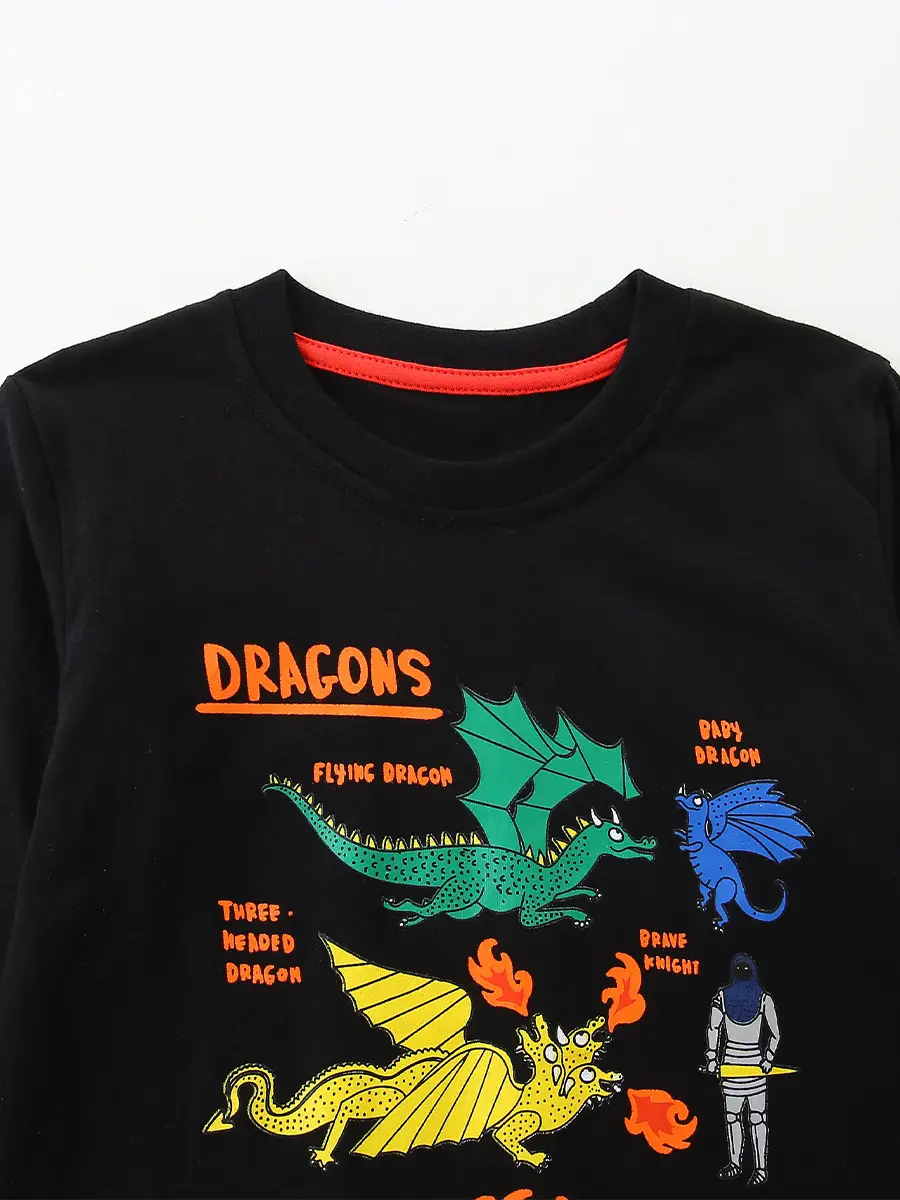 Dinosaur Print Boys Long Sleeve Cotton T-Shirt Black - Image 5