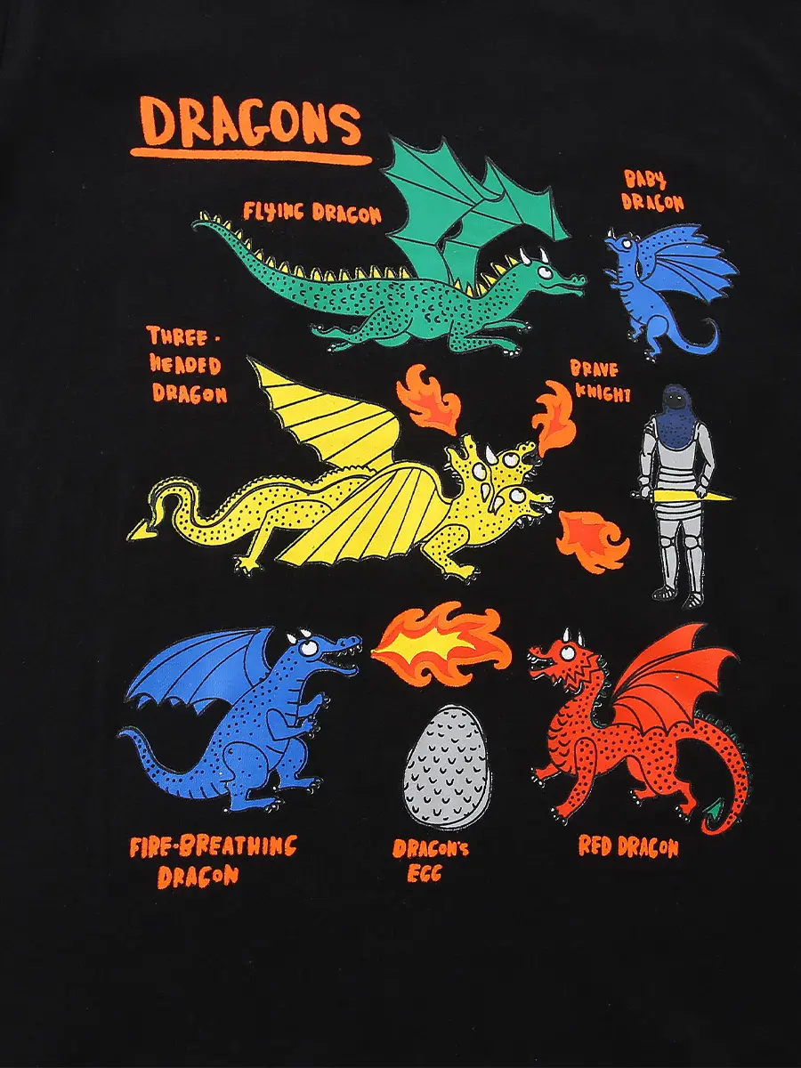 Dinosaur Print Boys Long Sleeve Cotton T-Shirt Black - Image 6