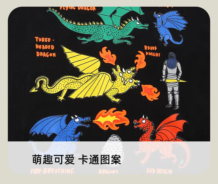 Dinosaur Print Boys Long Sleeve Cotton T-Shirt Black — feature 24