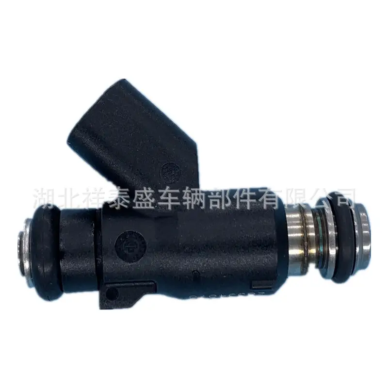 28101893 Fuel Injector Delphi Efi 4-Hole 300/600Cc - Image 5