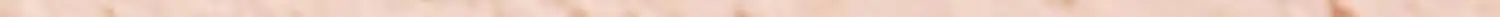 Seamless Foundation Brush 0.03mm Soft Bristles — feature 3
