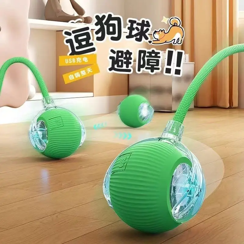 Cross-Border Pet Toy Ball, Cat Ball, Dog and Cat Self-Entertainment Gadget, Pet Toy, Pet Supplies, Cat Toy