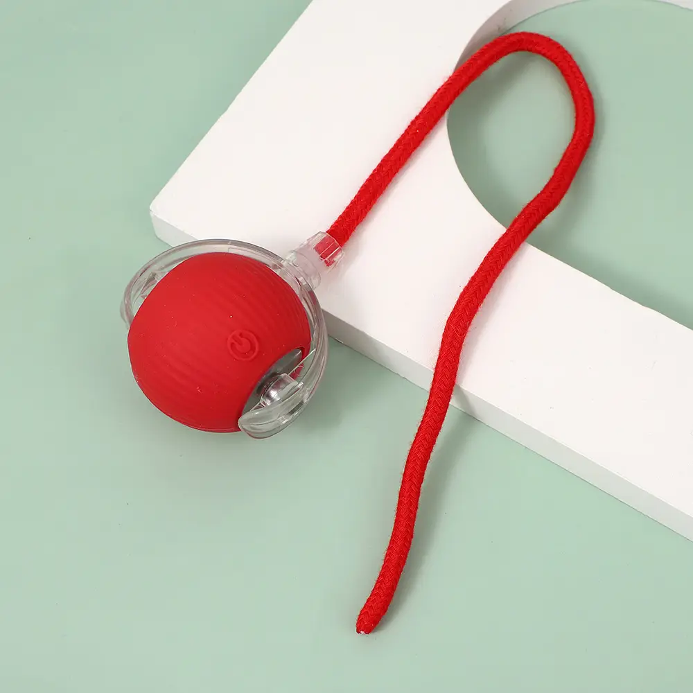 Cross-Border Pet Toy Ball, Cat Ball, Dog and Cat Self-Entertainment Gadget, Pet Toy, Pet Supplies, Cat Toy — feature 6