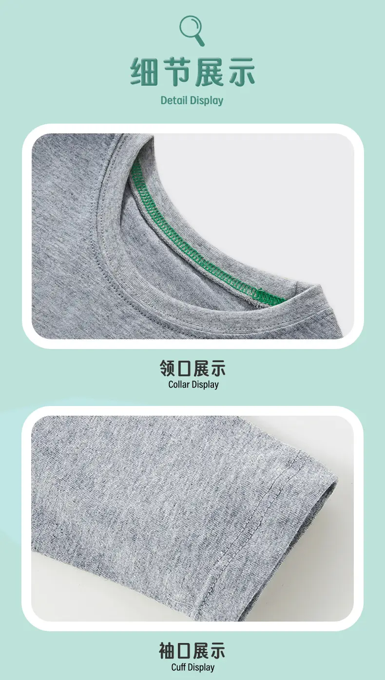 Boy Cotton Dinosaur T-Shirt Grey Round Neck 2025 — feature 7