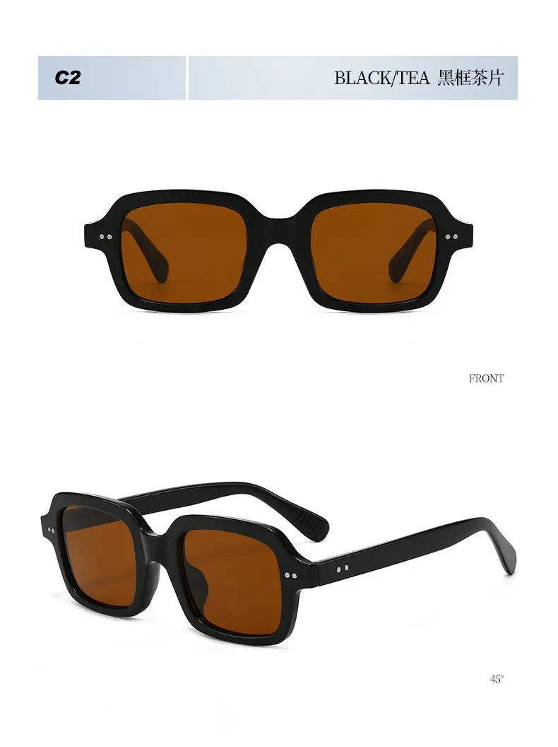2025 Square Stud Sunglasses for Men Women European Style β feature 12