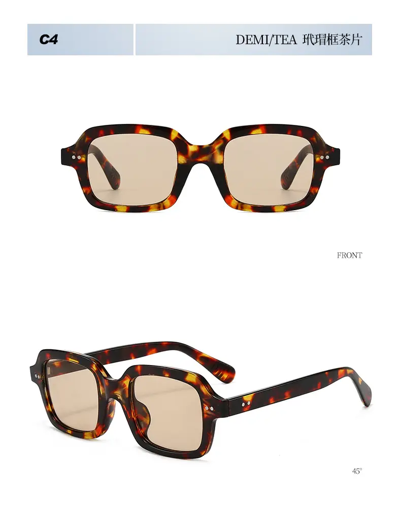 2025 Square Stud Sunglasses for Men Women European Style β feature 14