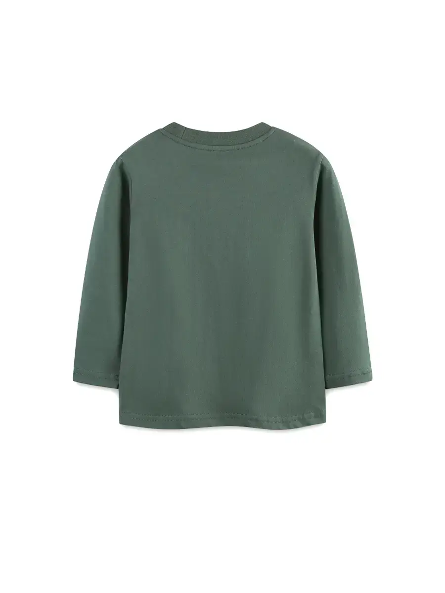 Green Long Sleeve Pullover for Boys Knitted Cotton - Image 4