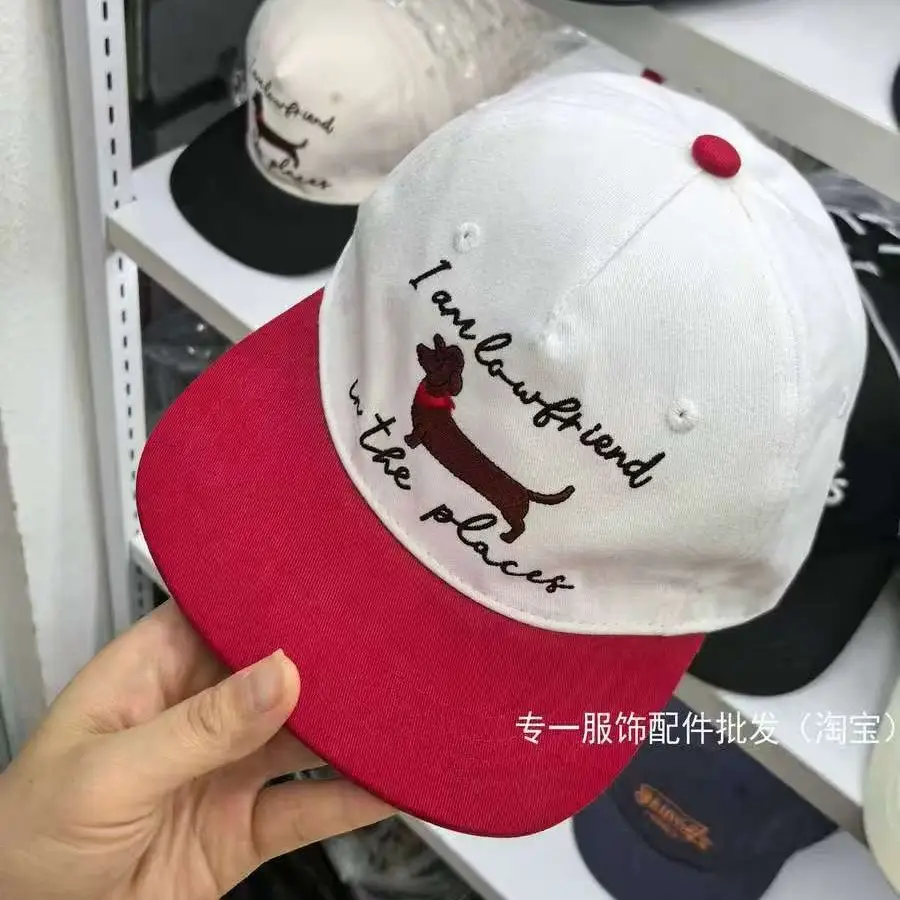 Japanese-Style Dachshund Cap for Women Spring Autumn Hip Hop Color Blocked