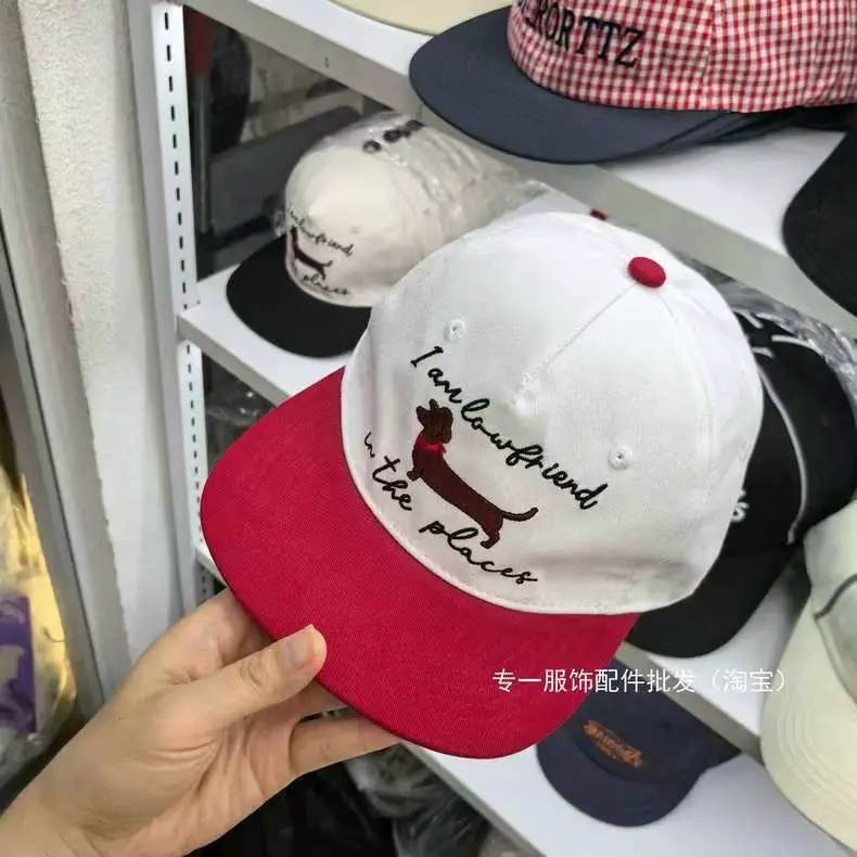 Japanese-Style Dachshund Cap for Women Spring Autumn Hip Hop Color Blocked — feature 3