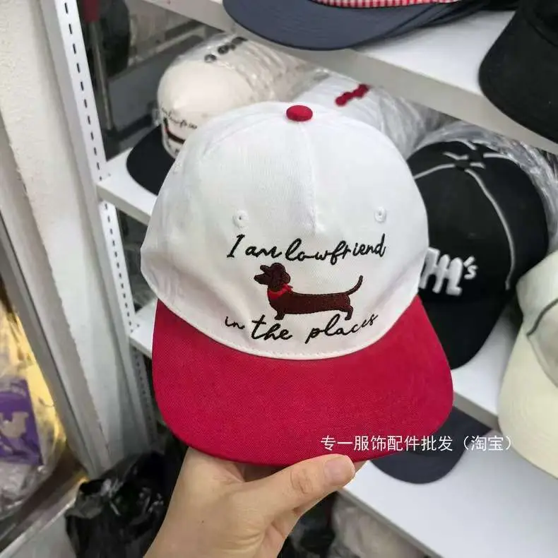 Japanese-Style Dachshund Cap for Women Spring Autumn Hip Hop Color Blocked — feature 5