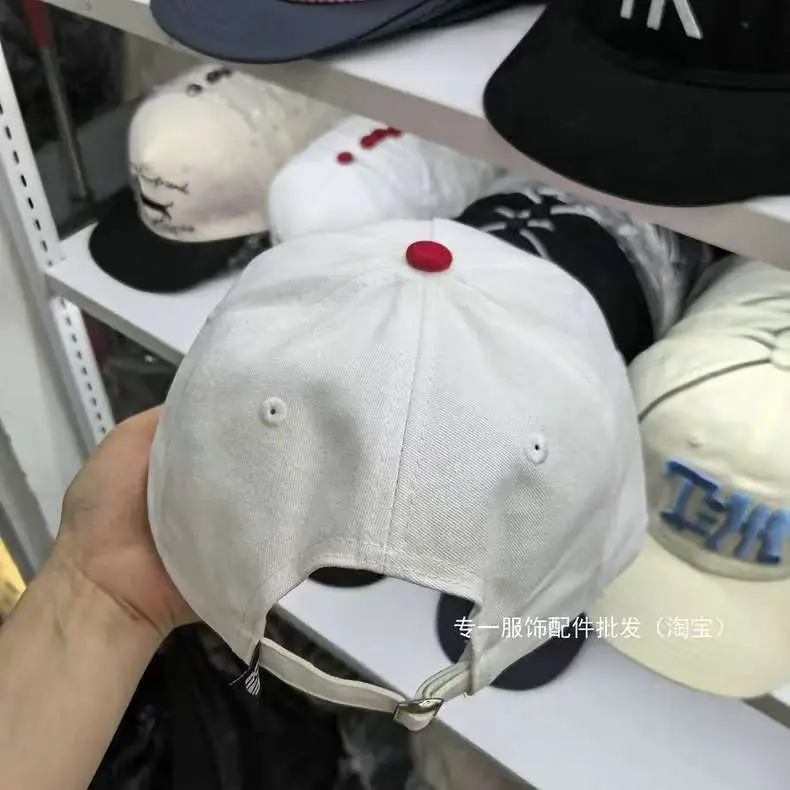 Japanese-Style Dachshund Cap for Women Spring Autumn Hip Hop Color Blocked — feature 9