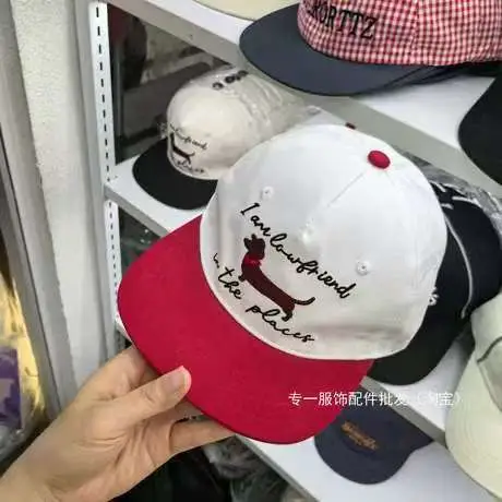 Japanese-Style Dachshund Cap for Women Spring Autumn Hip Hop Color Blocked