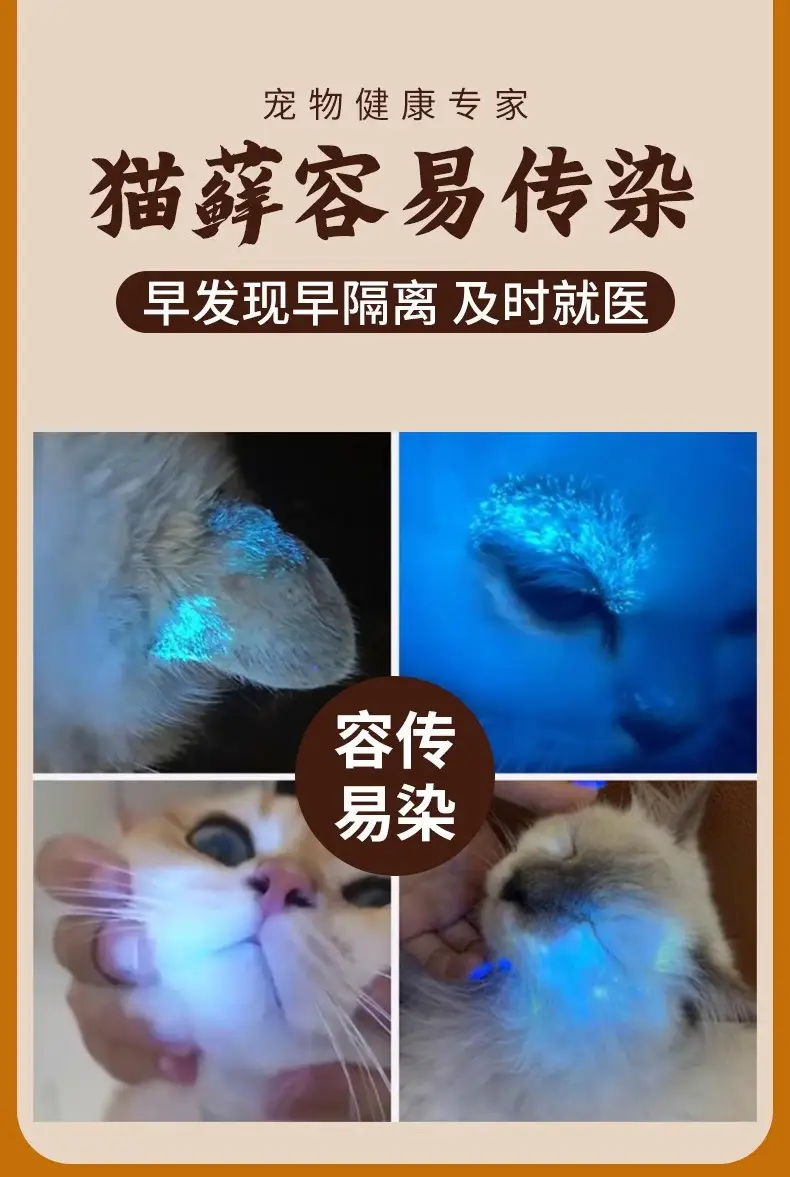 Cat Teasing Toy USB Rechargeable Multifunctional Cat Teaser Wand Uv White Light Multiple Pattern Projection Pet Supplies — feature 5