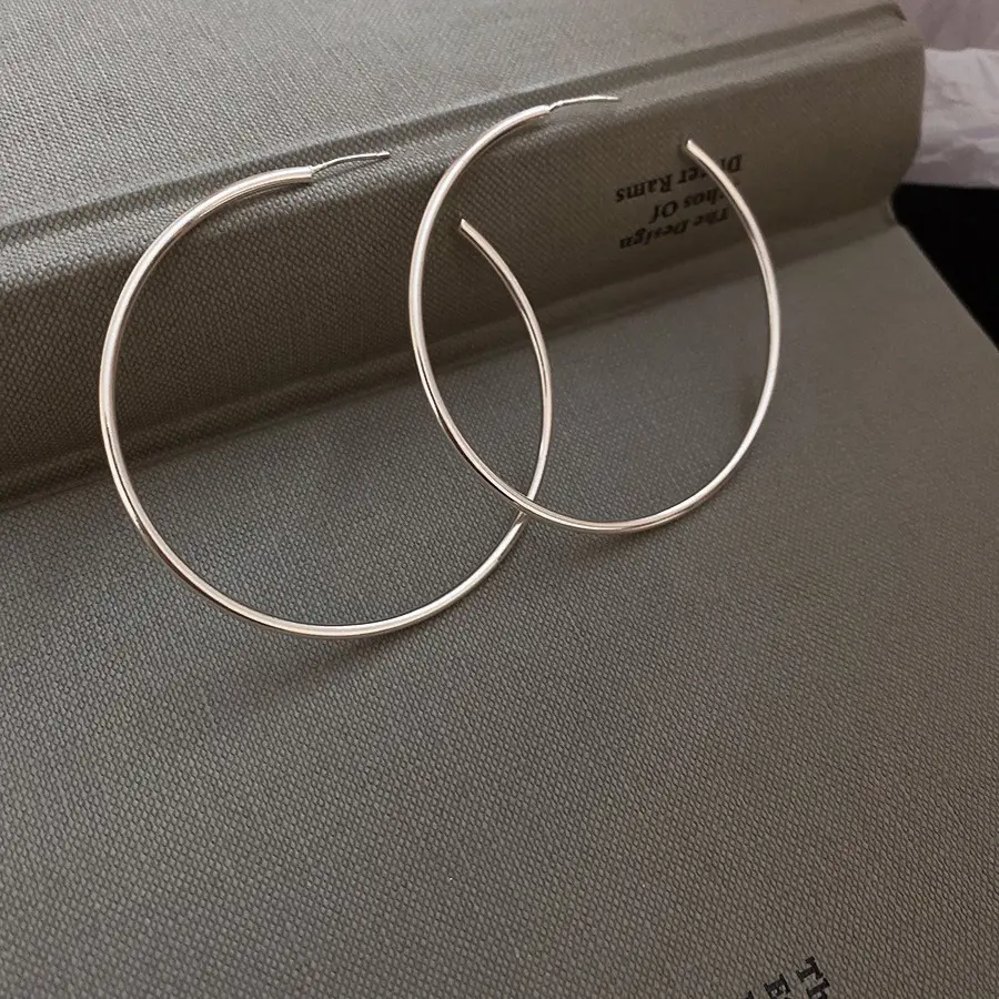 European and American Cross-Border Silver Needle Hoop Earrings, Metal Minimalist Style, Fashionable Versatile Simple Earrings with a Unique Design — feature 31