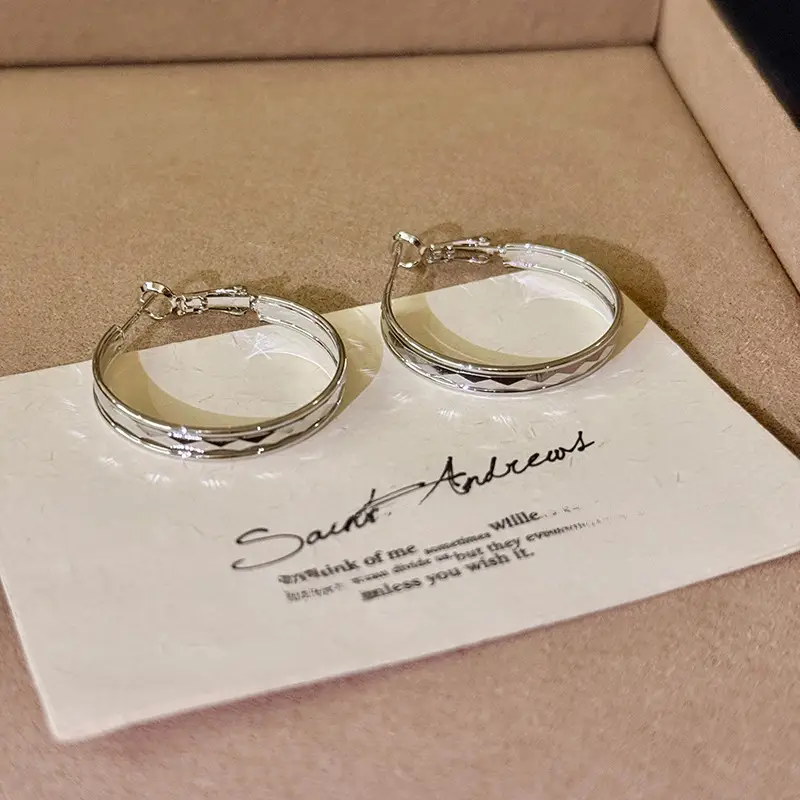European and American Cross-Border Silver Needle Hoop Earrings, Metal Minimalist Style, Fashionable Versatile Simple Earrings with a Unique Design