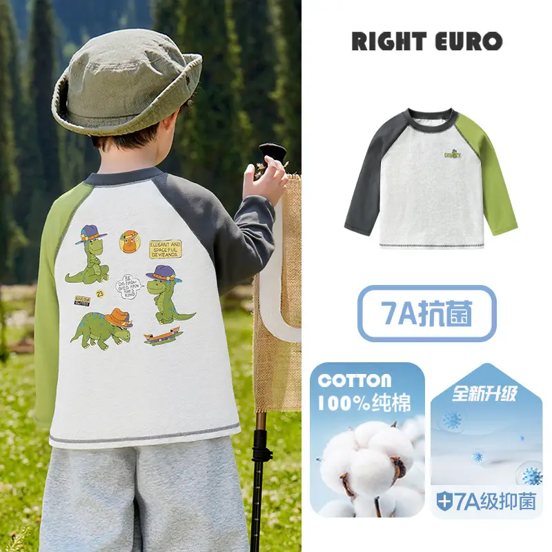 Right European Style Boys Cotton Long Sleeve T-Shirt - Image 2