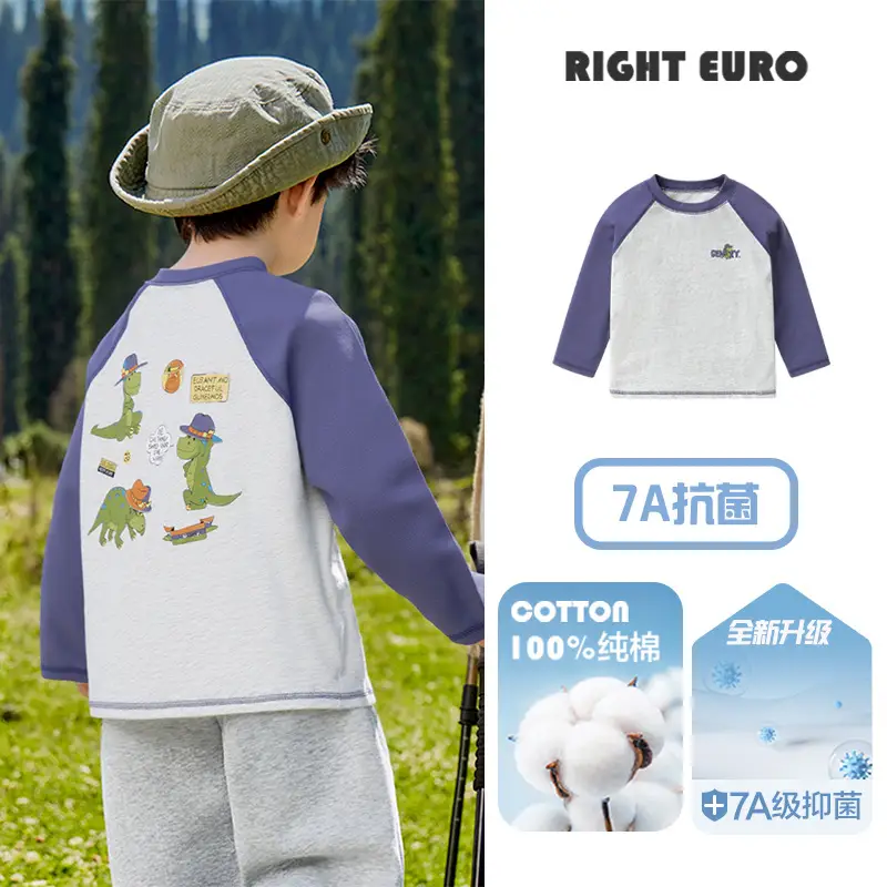 Right European Style Boys Cotton Long Sleeve T-Shirt - Image 3