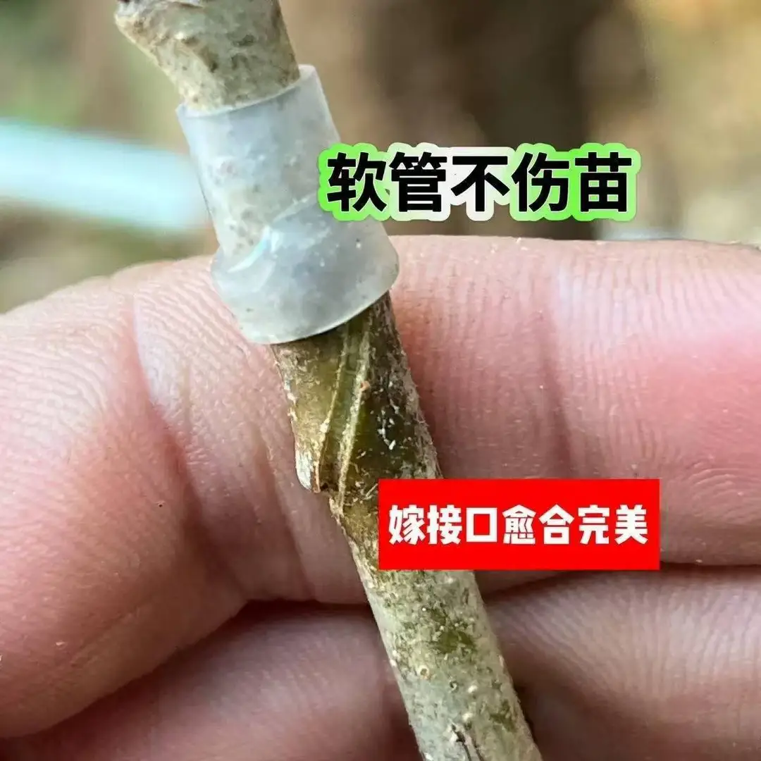 Grafting Sleeve Flexible Waterproof Hollow Old Stump Grafting Seedling Flower Seedling Watermelon Rose Grafting Branch Silicone Sleeve