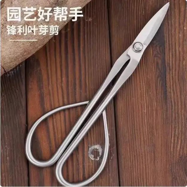 Branch Pruning Scissors Thickened Stainless Steel Potted Plant Bud Pruning Gardening Pruning Leaf Bonsai Long-Handled Scissors