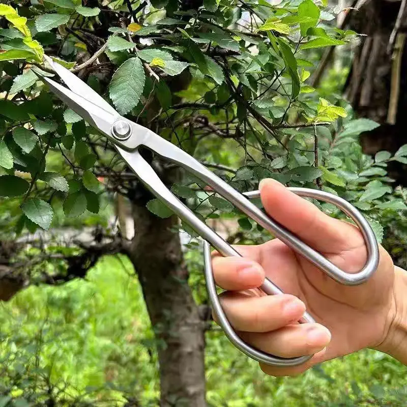 Branch Pruning Scissors Thickened Stainless Steel Potted Plant Bud Pruning Gardening Pruning Leaf Bonsai Long-Handled Scissors