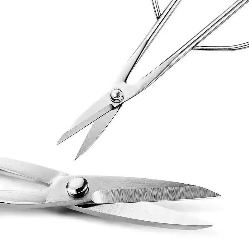 Branch Pruning Scissors Thickened Stainless Steel Potted Plant Bud Pruning Gardening Pruning Leaf Bonsai Long-Handled Scissors