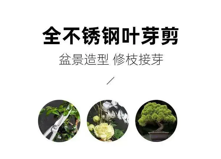 Branch Pruning Scissors Thickened Stainless Steel Potted Plant Bud Pruning Gardening Pruning Leaf Bonsai Long-Handled Scissors — feature 1
